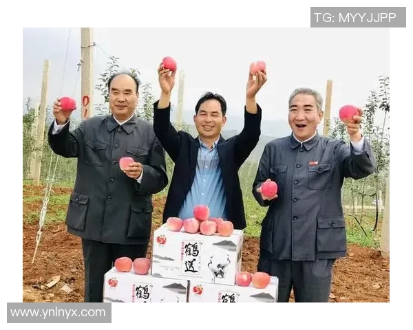 传统豪门的深厚底蕴在关键时刻的辉煌表现与历史传承的力量 传统豪门的深厚底蕴在关键时刻的辉煌表现与历史传承的力量